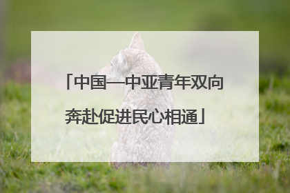 中国—中亚青年双向奔赴促进民心相通