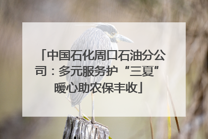 中国石化周口石油分公司：多元服务护“三夏” 暖心助农保丰收