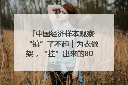 中国经济样本观察·“镇”了不起｜为衣做架，“挂”出来的80亿元“衣架产业”