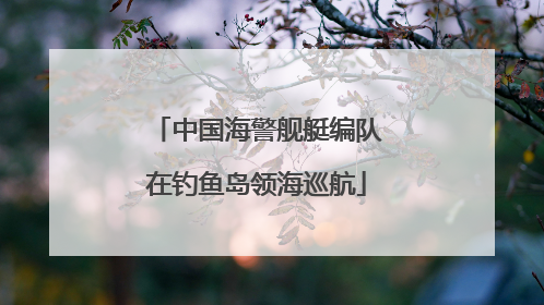 中国海警舰艇编队在钓鱼岛领海巡航