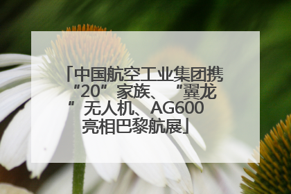 中国航空工业集团携“20”家族、“翼龙”无人机、AG600亮相巴黎航展
