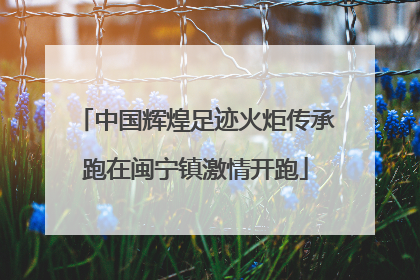 中国辉煌足迹火炬传承跑在闽宁镇激情开跑