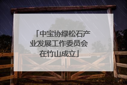 中宝协绿松石产业发展工作委员会在竹山成立