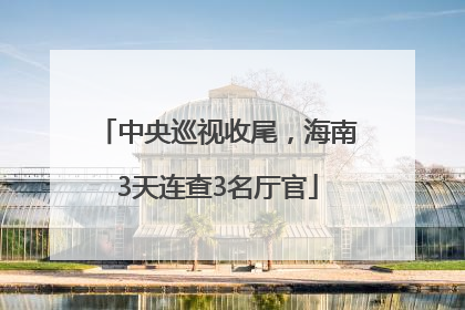中央巡视收尾，海南3天连查3名厅官