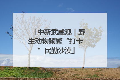 中新武威观｜野生动物频繁“打卡”民勤沙漠
