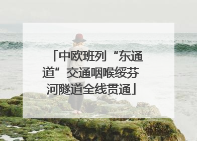中欧班列“东通道”交通咽喉绥芬河隧道全线贯通
