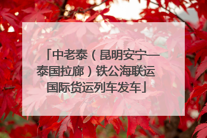中老泰（昆明安宁—泰国拉廊）铁公海联运国际货运列车发车