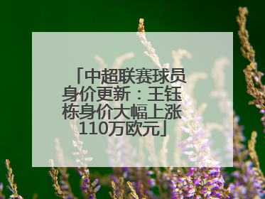 中超联赛球员身价更新：王钰栋身价大幅上涨110万欧元
