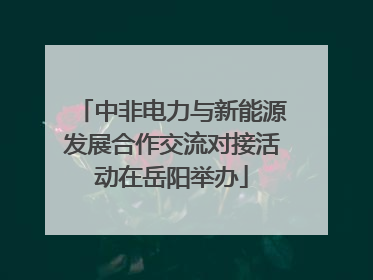 中非电力与新能源发展合作交流对接活动在岳阳举办