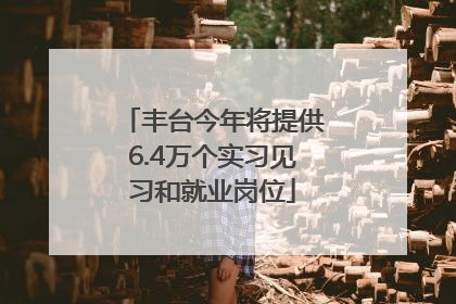 丰台今年将提供6.4万个实习见习和就业岗位