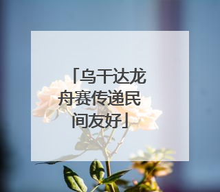 乌干达龙舟赛传递民间友好
