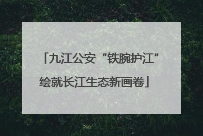 九江公安“铁腕护江”绘就长江生态新画卷