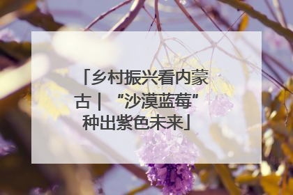 乡村振兴看内蒙古｜“沙漠蓝莓”种出紫色未来