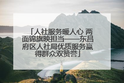 人社服务暖人心 两面锦旗映担当——东昌府区人社局优质服务赢得群众双赞誉