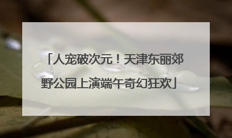 人宠破次元！天津东丽郊野公园上演端午奇幻狂欢