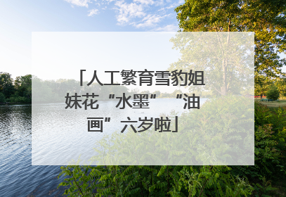 人工繁育雪豹姐妹花“水墨”“油画”六岁啦
