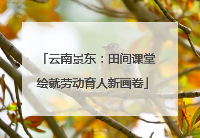 云南景东：田间课堂绘就劳动育人新画卷