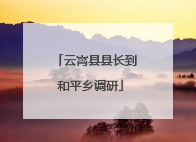 云霄县县长到和平乡调研