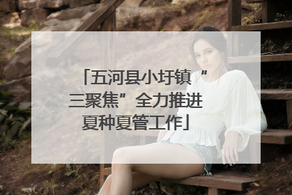 五河县小圩镇“三聚焦”全力推进夏种夏管工作