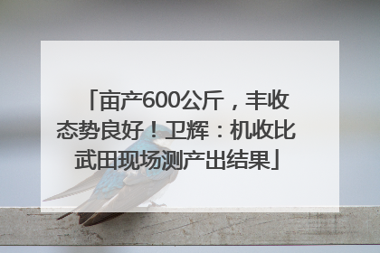 亩产600公斤，丰收态势良好！卫辉：机收比武田现场测产出结果