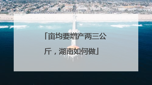 亩均要增产两三公斤，湖南如何做
