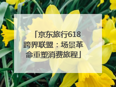 京东旅行618跨界联盟：场景革命重塑消费旅程