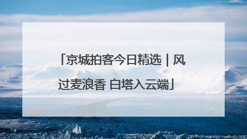 京城拍客今日精选｜风过麦浪香 白塔入云端