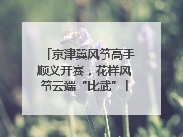 京津冀风筝高手顺义开赛，花样风筝云端“比武”