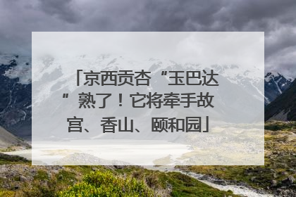 京西贡杏“玉巴达”熟了！它将牵手故宫、香山、颐和园
