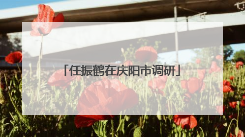 任振鹤在庆阳市调研