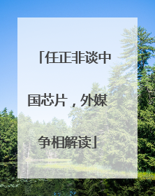 任正非谈中国芯片，外媒争相解读