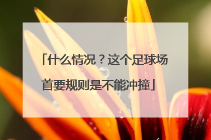 什么情况？这个足球场首要规则是不能冲撞