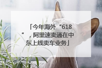 今年海外“618”，阿里速卖通在中东上线卖车业务