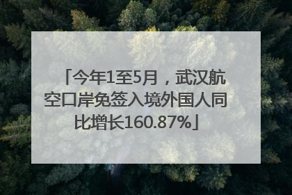 今年1至5月，武汉航空口岸免签入境外国人同比增长160.87%
