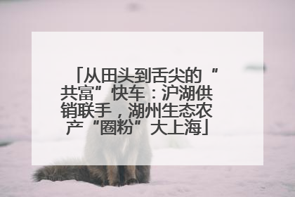 从田头到舌尖的“共富”快车：沪湖供销联手，湖州生态农产“圈粉”大上海