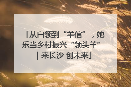 从白领到“羊倌”，她乐当乡村振兴“领头羊”｜来长沙 创未来