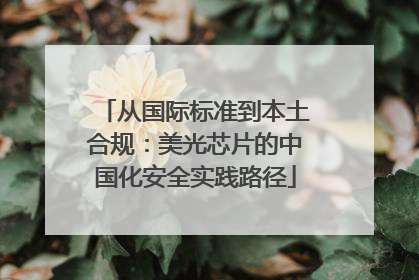 从国际标准到本土合规：美光芯片的中国化安全实践路径