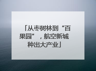 从枣树林到“百果园”，航空新城种出大产业