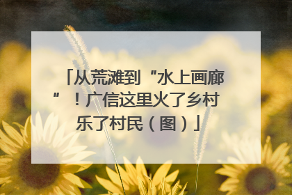 从荒滩到“水上画廊”！广信这里火了乡村 乐了村民（图）