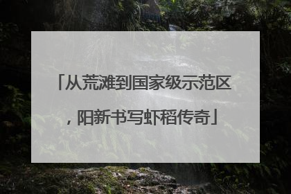从荒滩到国家级示范区，阳新书写虾稻传奇