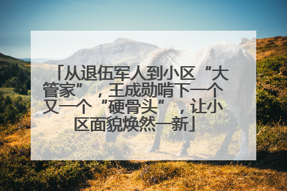 从退伍军人到小区“大管家”，王成勋啃下一个又一个“硬骨头”，让小区面貌焕然一新