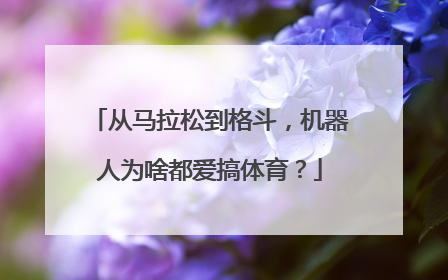 从马拉松到格斗，机器人为啥都爱搞体育？