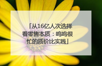 从16亿人次选择看零售本质：鸣鸣很忙的质价比实践