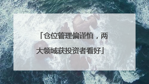 仓位管理偏谨慎，两大领域获投资者看好