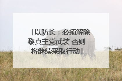 以防长：必须解除黎真主党武装 否则将继续采取行动