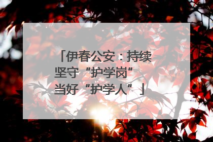 伊春公安：持续坚守“护学岗” 当好“护学人”