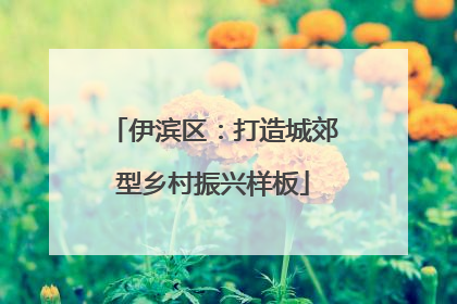 伊滨区：打造城郊型乡村振兴样板