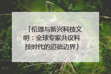 伦理与新兴科技文明：全球专家共议科技时代的道德边界
