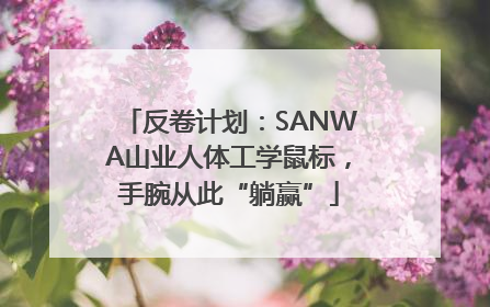 反卷计划：SANWA山业人体工学鼠标，手腕从此“躺赢”