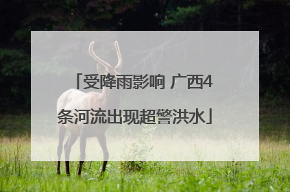 受降雨影响 广西4条河流出现超警洪水